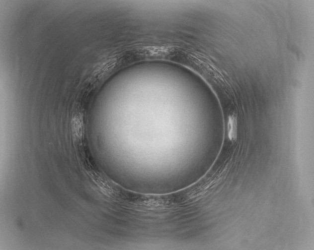 X0000116311395200911301453