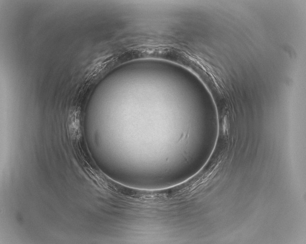 X0000116311396200911301453