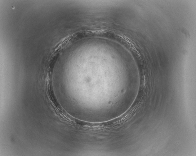 X0000116311397200911301453