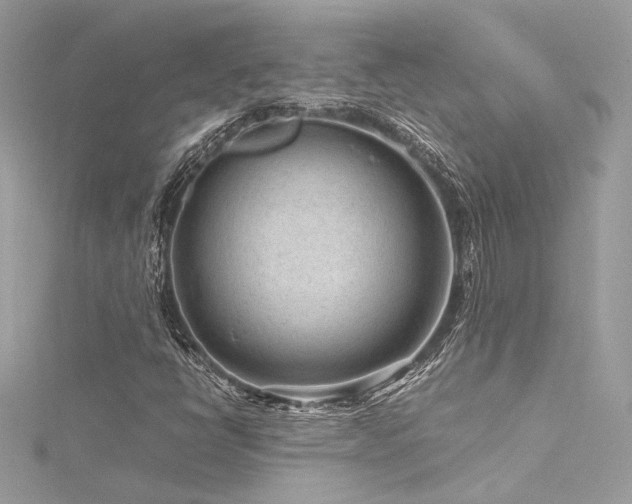 X0000116311398200911301453