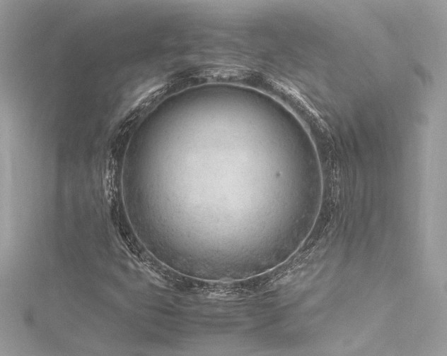 X0000116311399200911301453