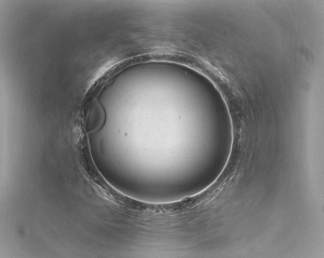 X0000116311400200911301453