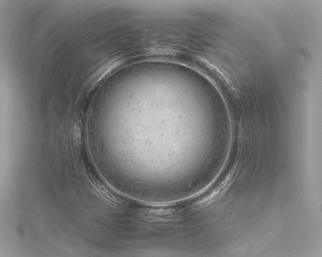 X0000116311401200911301453