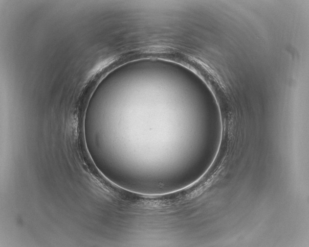 X0000116311402200911301453