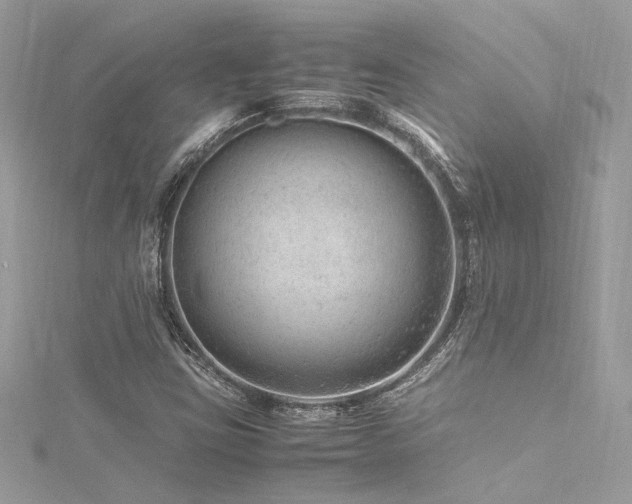 X0000116311403200911301453