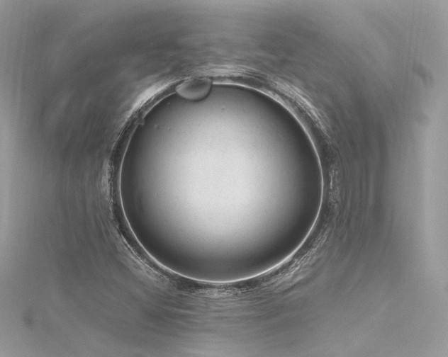 X0000116311404200911301453