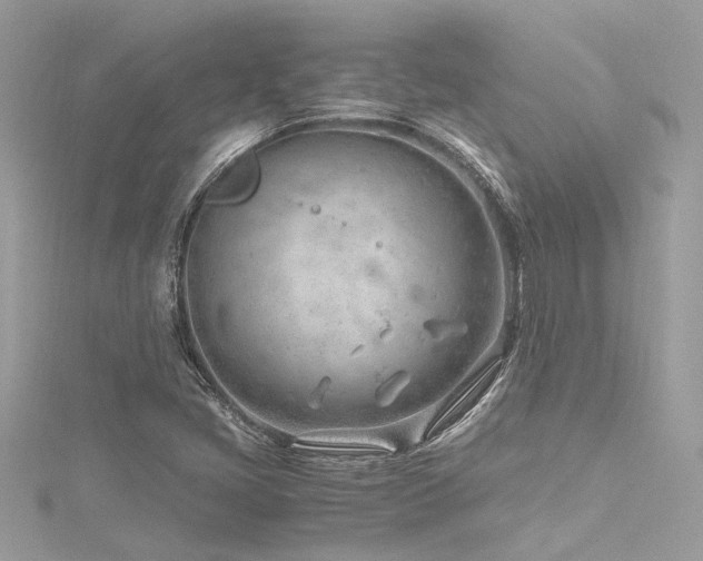 X0000116311405200911301453