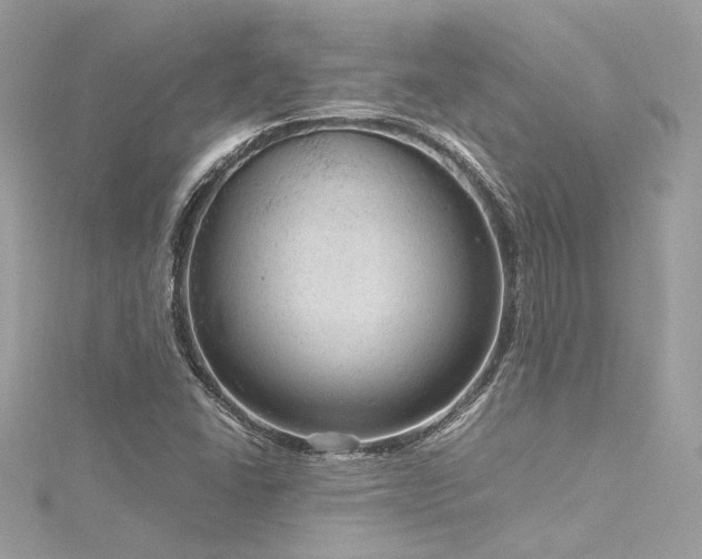 X0000116311406200911301453