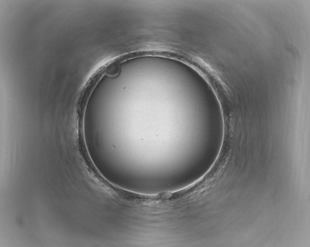 X0000116311408200911301453