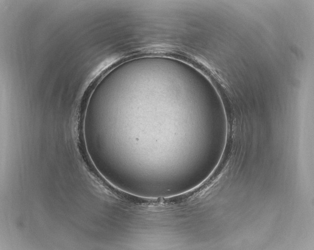 X0000116311410200911301453