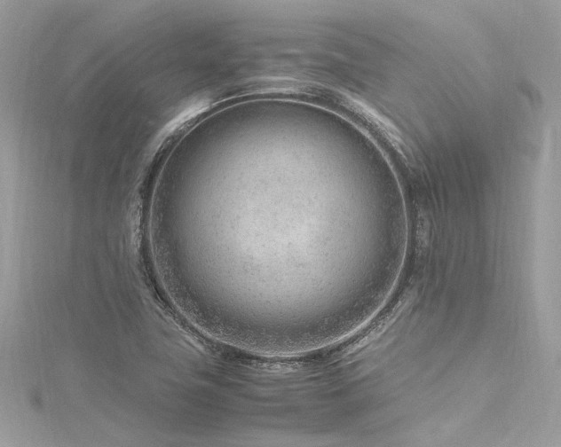 X0000116311411200911301453