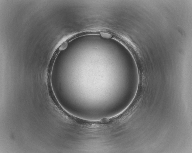 X0000116311412200911301453