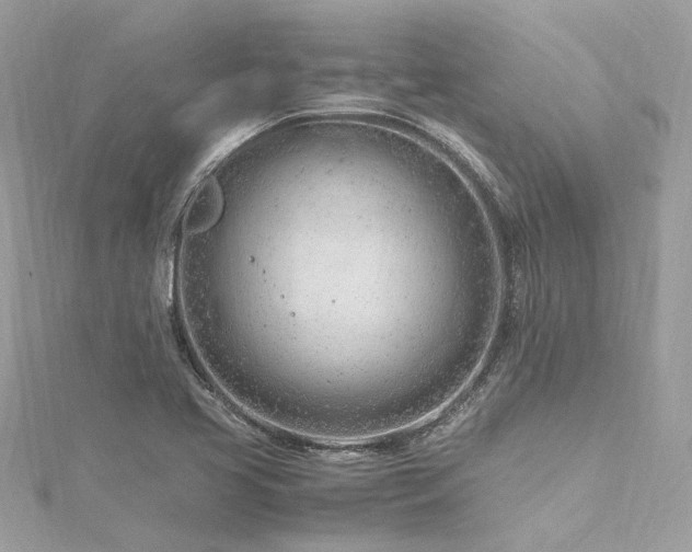 X0000116311413200911301453