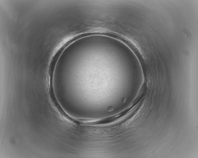 X0000116311414200911301453