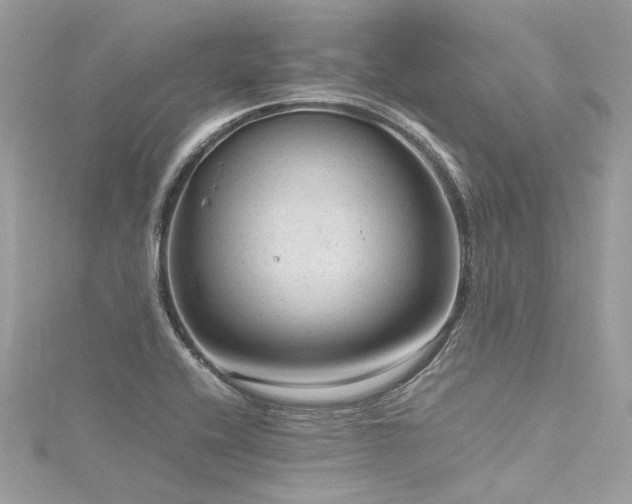 X0000116311416200911301453