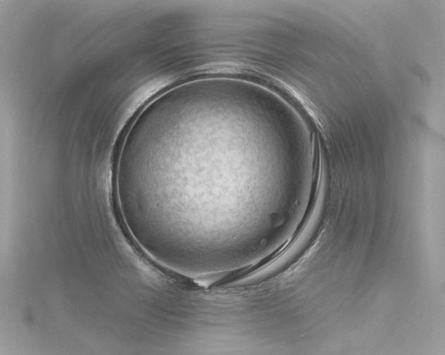 X0000116311418200911301453