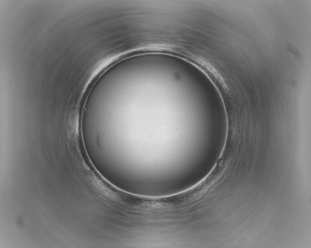 X0000116311420200911301453