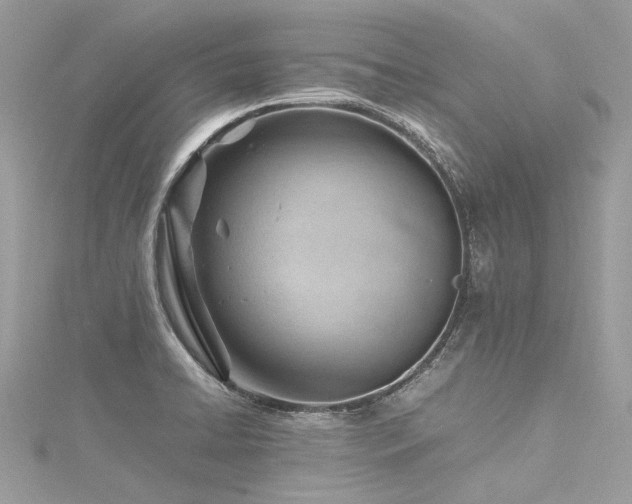 X0000116311422200911301453