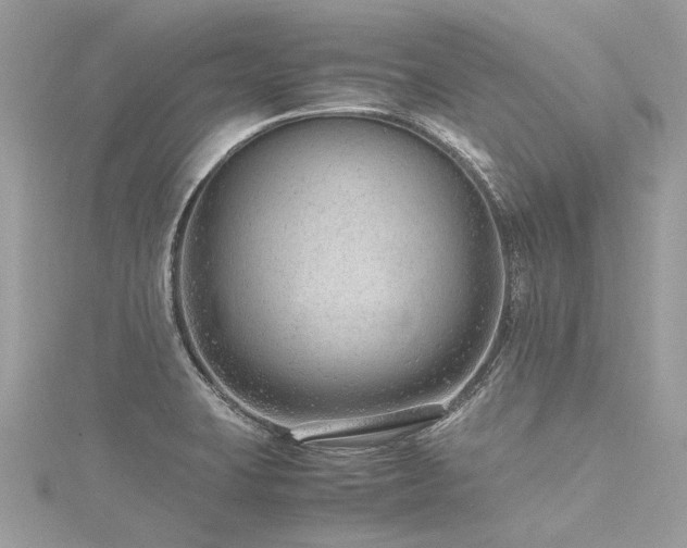 X0000116311423200911301453