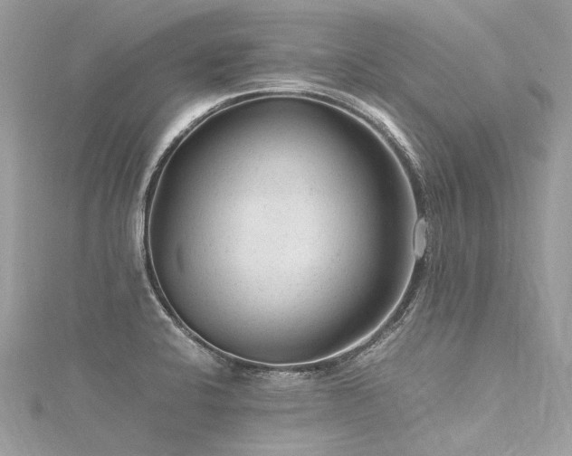 X0000116311424200911301453