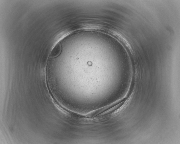 X0000116311425200911301453