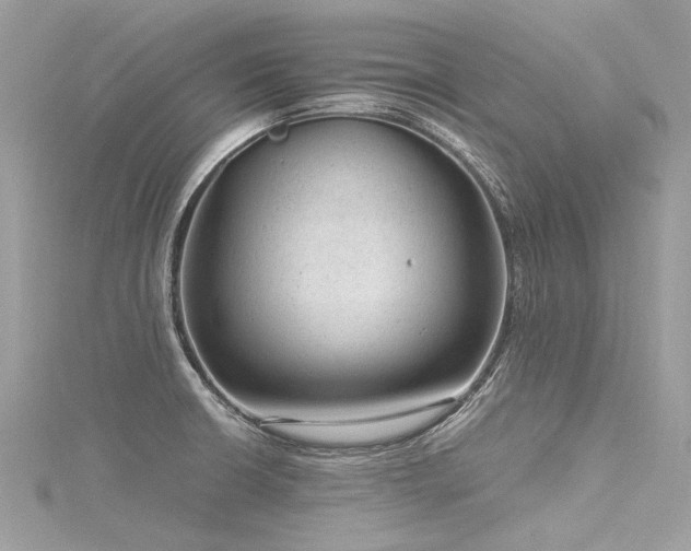 X0000116311426200911301453