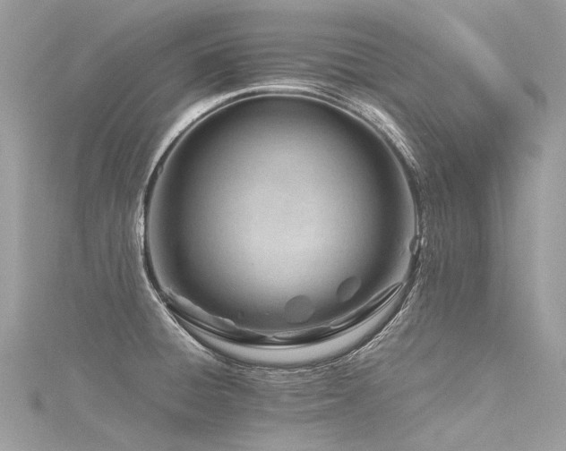 X0000116311428200911301453