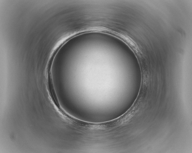 X0000116311430200911301453