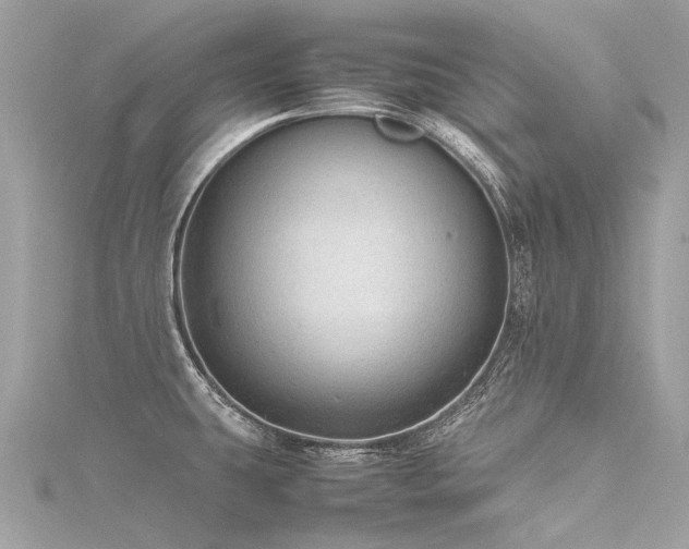 X0000116311431200911301453