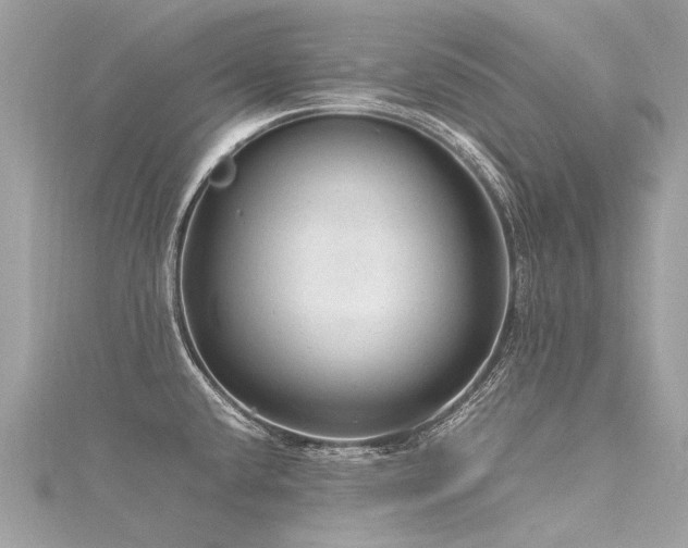 X0000116311432200911301453