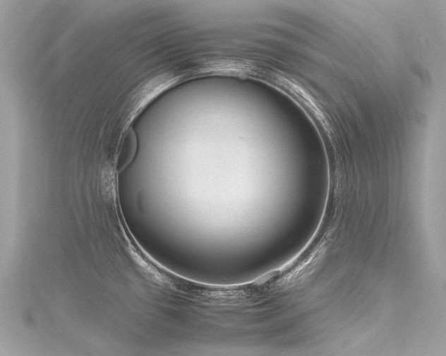 X0000116311433200911301453