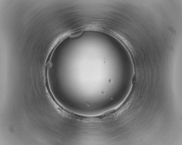 X0000116311434200911301453