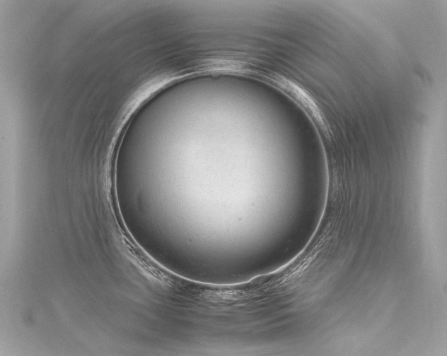 X0000116311435200911301453