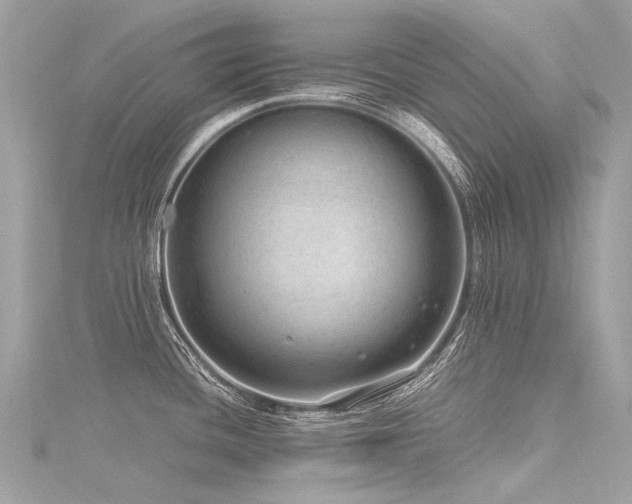 X0000116311436200911301453