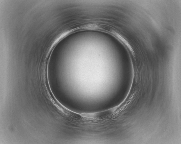 X0000116311437200911301453