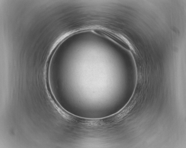 X0000116311438200911301453