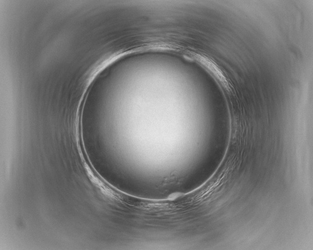 X0000116311439200911301453