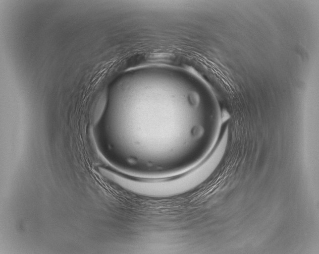 X0000116311441200911301453