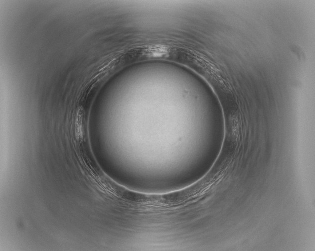 X0000116311442200911301453