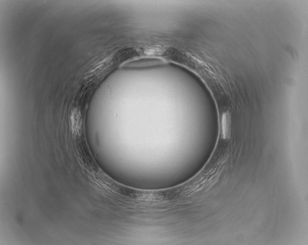 X0000116311443200911301453