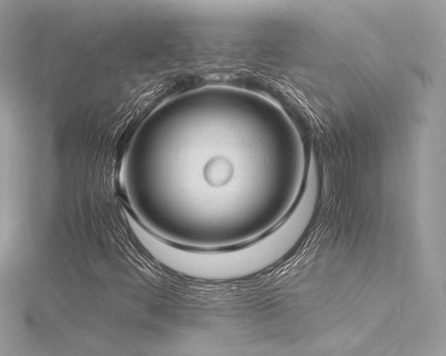 X0000116311444200911301453