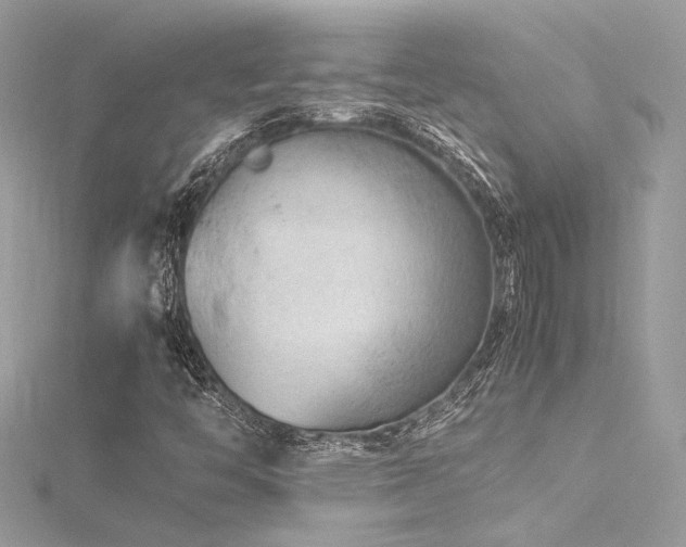 X0000116311446200911301453