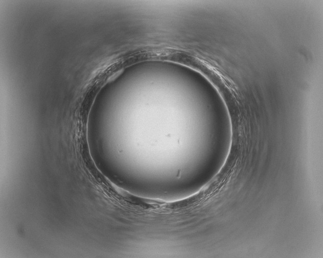 X0000116311447200911301453