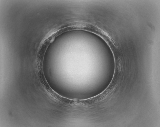 X0000116311448200911301453