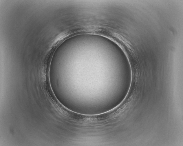 X0000116311451200911301453