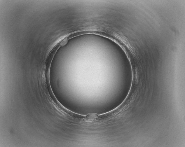 X0000116311452200911301453