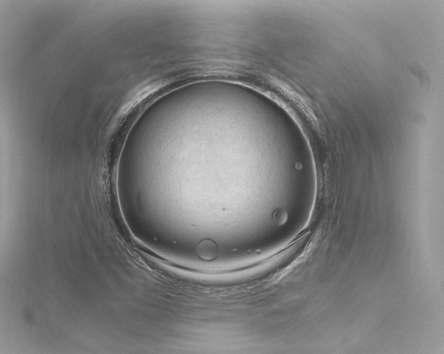 X0000116311453200911301453