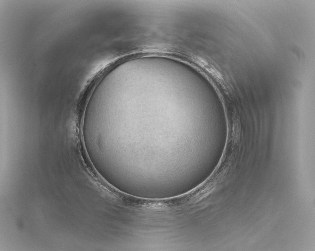 X0000116311454200911301453