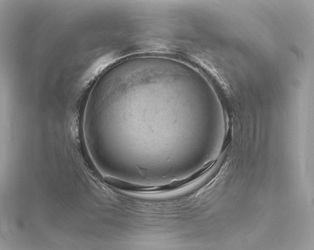 X0000116311455200911301453