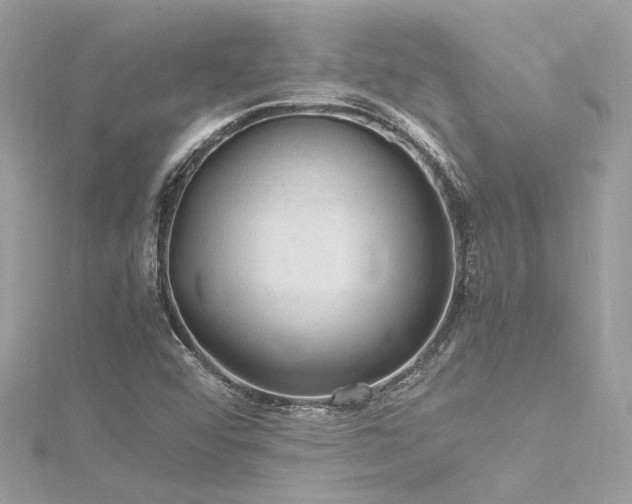 X0000116311456200911301453